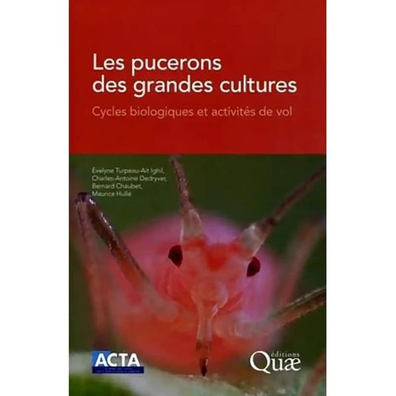 Les pucerons des grandes cultures