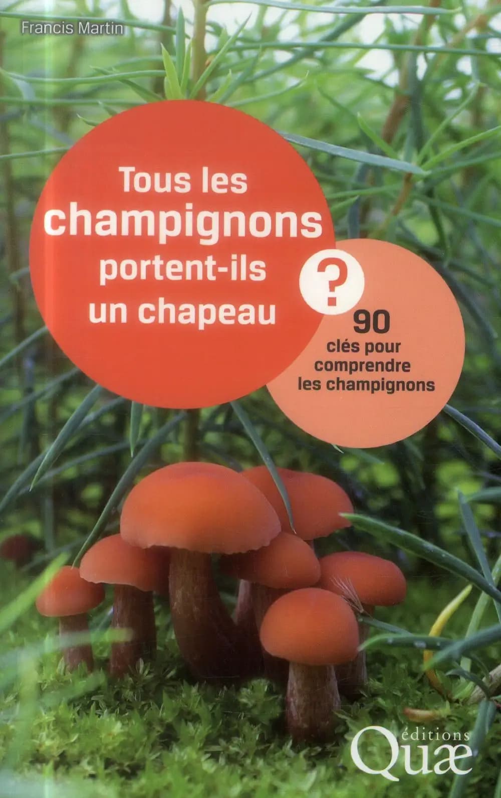 Tous les champignons portent-ils un chapeau ? : 90 clés pour comprendre les champignons