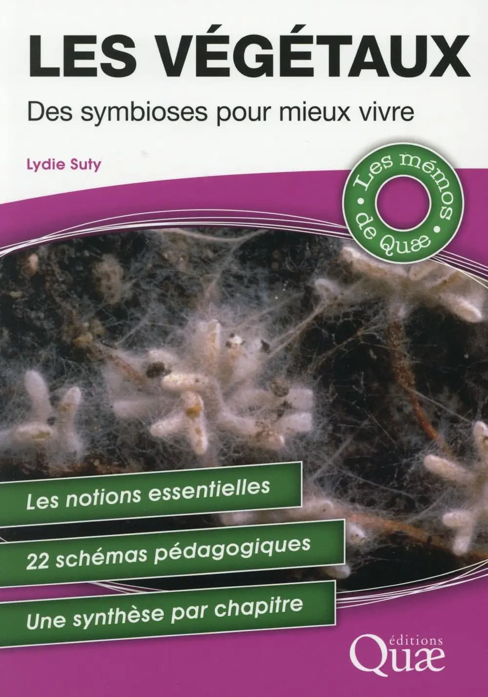 Les végétaux : des symbioses pour mieux vivre