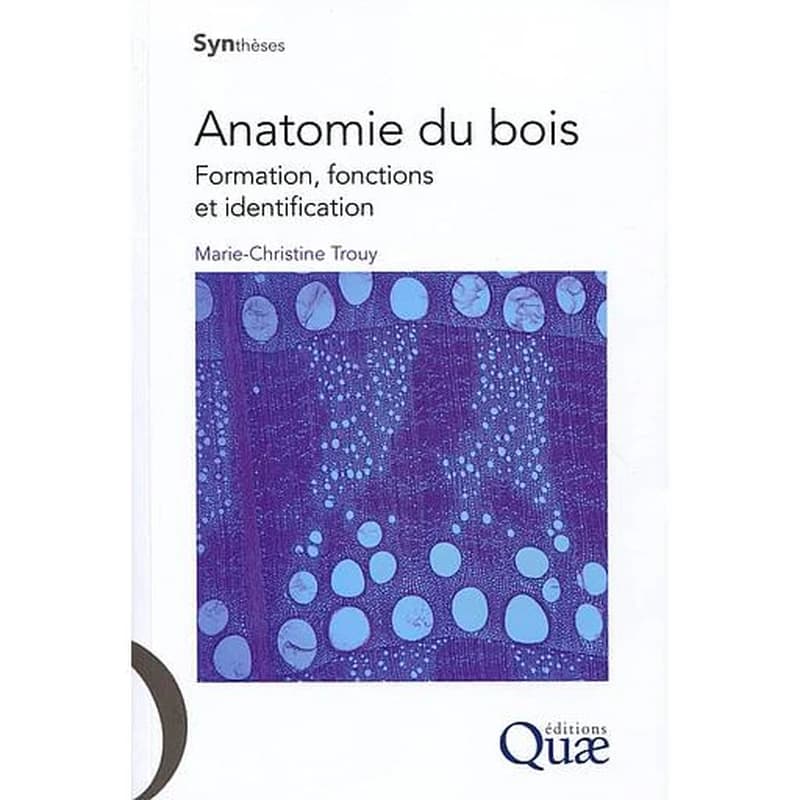 Anatomie du bois : formation, fonctions et identification