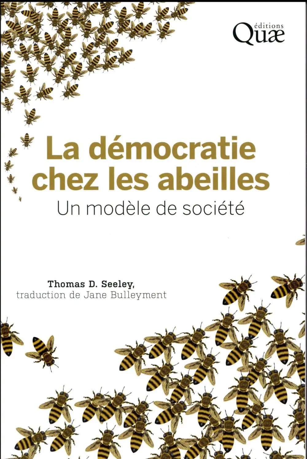 La démocratie chez les abeilles : un modèle de société