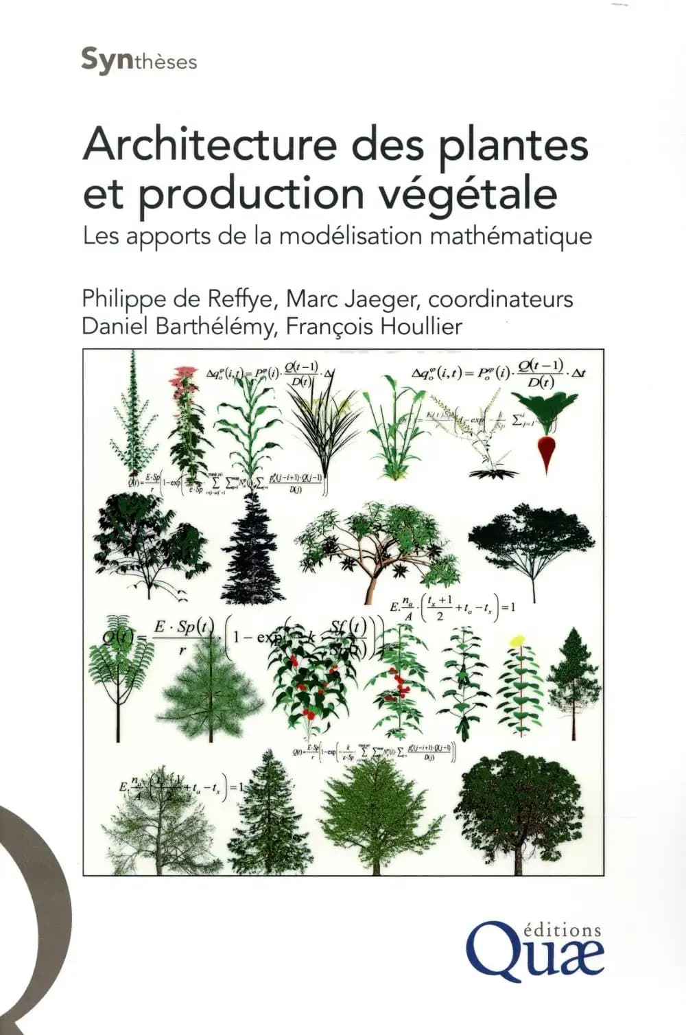 Architecture des plantes et production végétale : les apports de la modélisation mathématique