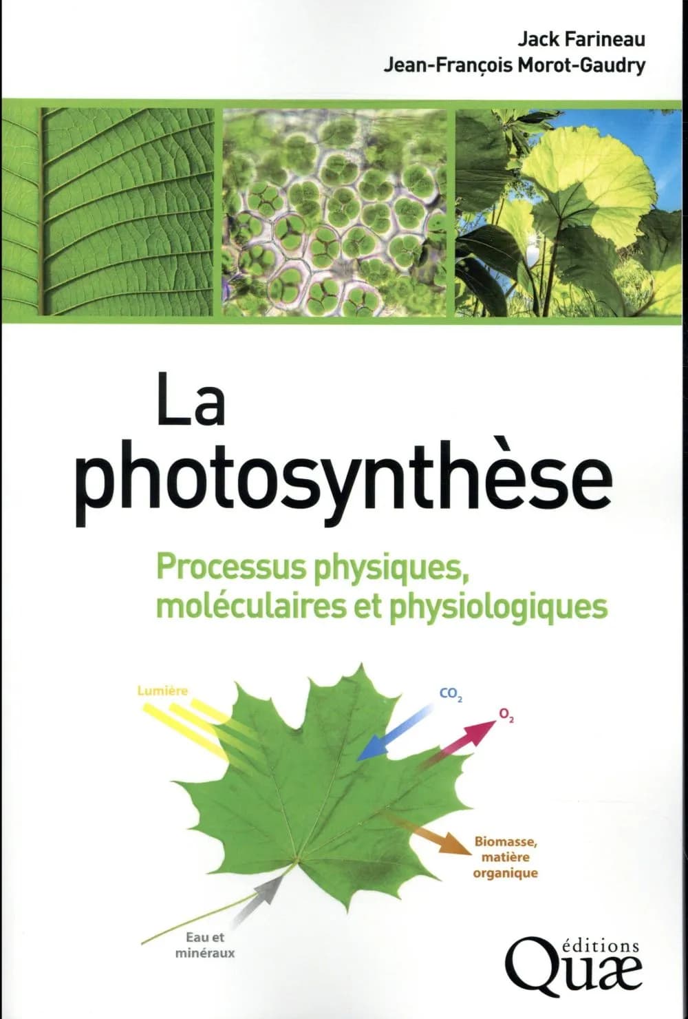 La photosynthèse : processus physiques, moléculaires et physiologiques ([Nouvelle éd. mise à jour et augmentée]) Jack Farineau et Jean-François Morot-Gaudry ; avec la participation de Jean-François Soussana