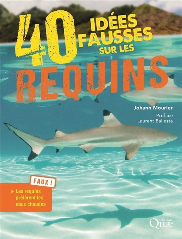 40 idées fausses sur les requins