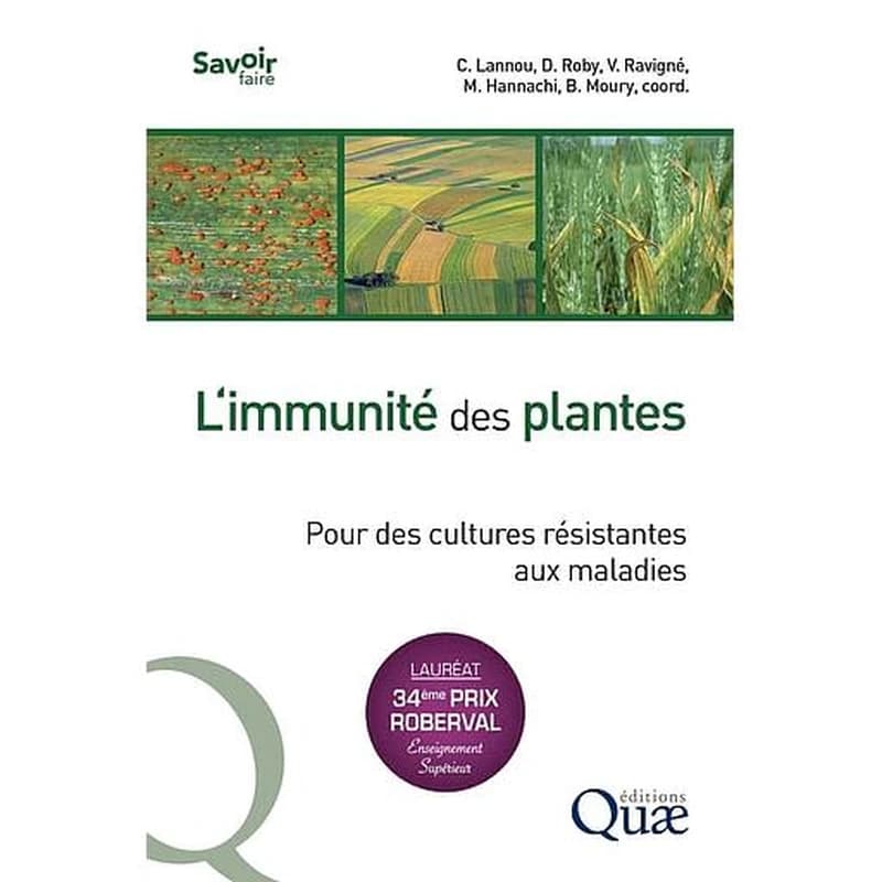L'immunité des plantes : pour des cultures résistantes aux maladies