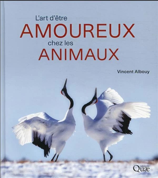 L'art d'être amoureux chez les animaux