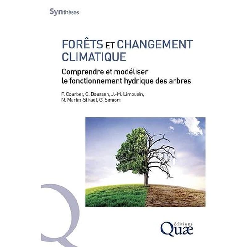 Forêts et changement climatique : comprendre et modéliser le fonctionnement hydrique des arbres