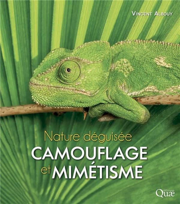 Camouflage et mimétisme : nature déguisée