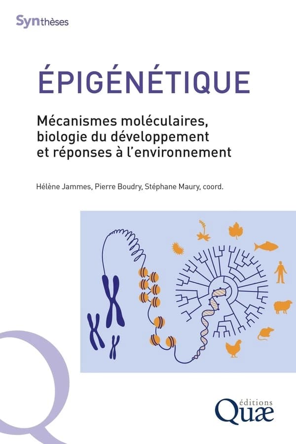 Épigénétique : mécanismes moléculaires, biologie du développement et réponses à l'environnement