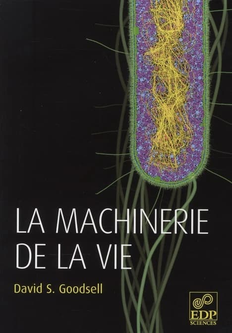 La machinerie de la vie (2e éd.) David S. Goodsell ; traduit de l'américain par Éric Fourmentin,... Damien Larivière,... Nathalie Schwartz,... [et al.]