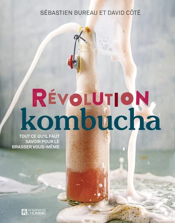 Révolution kombucha : tout ce qu'il faut savoir pour le brasser vous-même