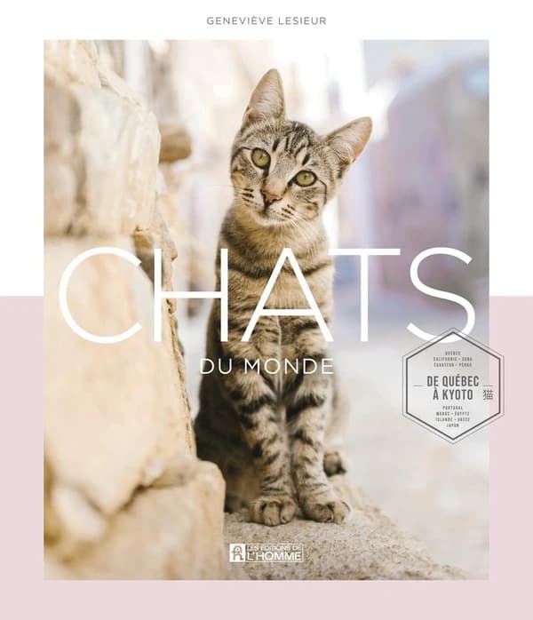 Chats du monde : de Québec à Kyoto...