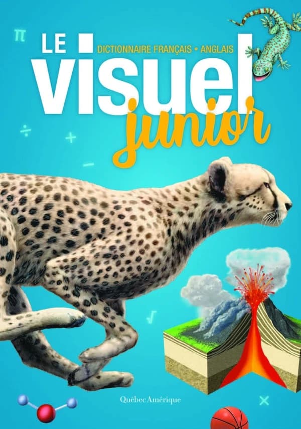 Le visuel junior : dictionnaire français-anglais