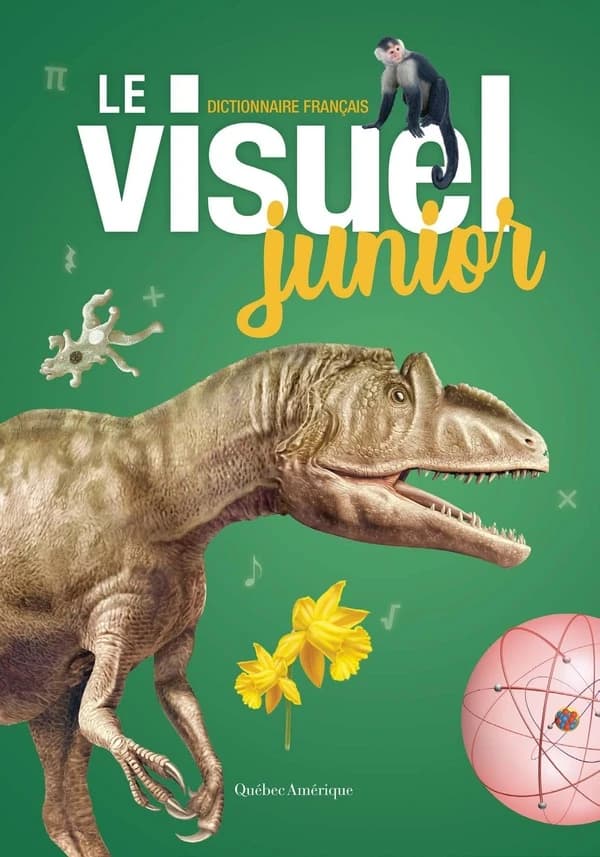 Le visuel junior