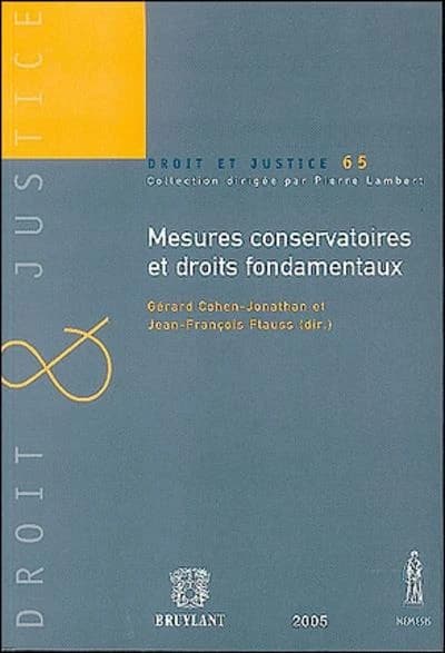 Mesures conservatoires et droits fondamentaux : actes du séminaire organisé le 11 juillet 2002 (mis à jour pour la publication) conjointement par l'Institut international des droits de l'homme et le Centre de recherche sur les droits de l'homme et le droi
