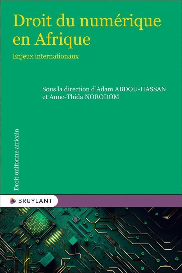 Droit du numérique en Afrique : enjeux internationaux