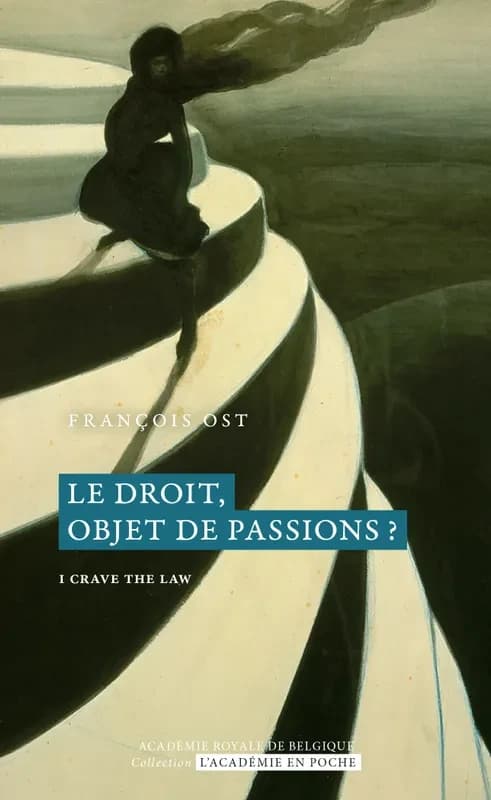 Le droit, objet de passions ? : I crave the law