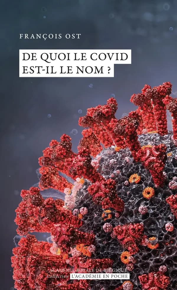 De quoi le COVID est-il le nom ?