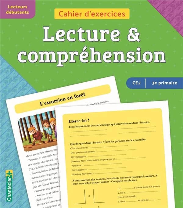 Cahier d'exercices : lecture & compréhension ; CE2
