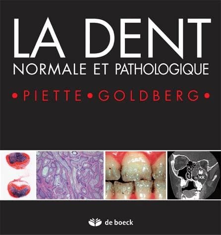 La dent : normale et pathologique