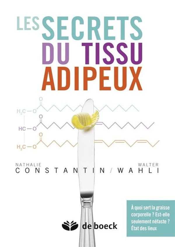 Les secrets du tissu adipeux : à quoi sert la graisse corporelle? Est-elle seulement néfaste? État des lieux