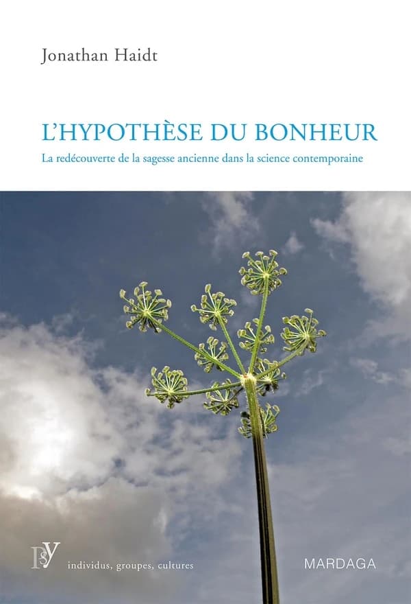 Hypothèse du bonheur