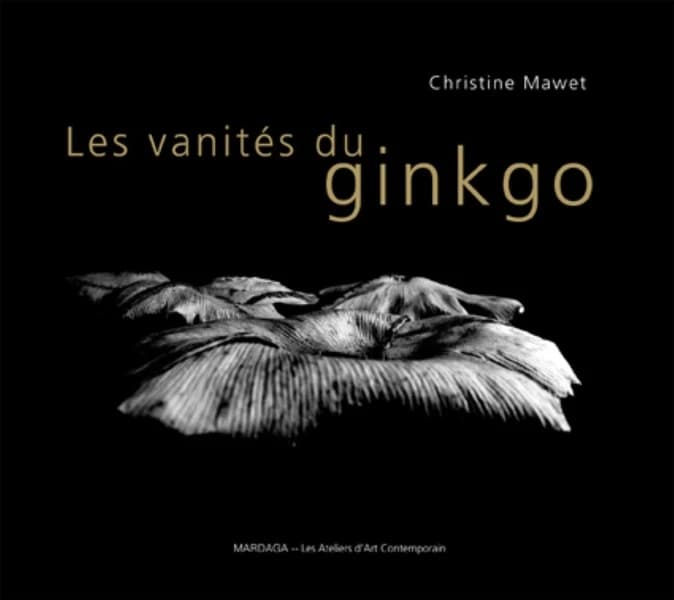 Les vanités du ginkgo