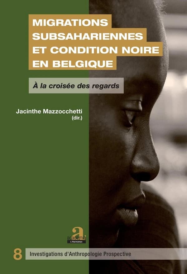 Migrations subsahariennes et condition noire en Belgique : à la croisée des regards