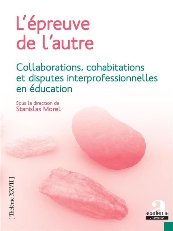 L'épreuve de l'autre : collaborations, cohabitations et disputes interprofessionnelles en éducation