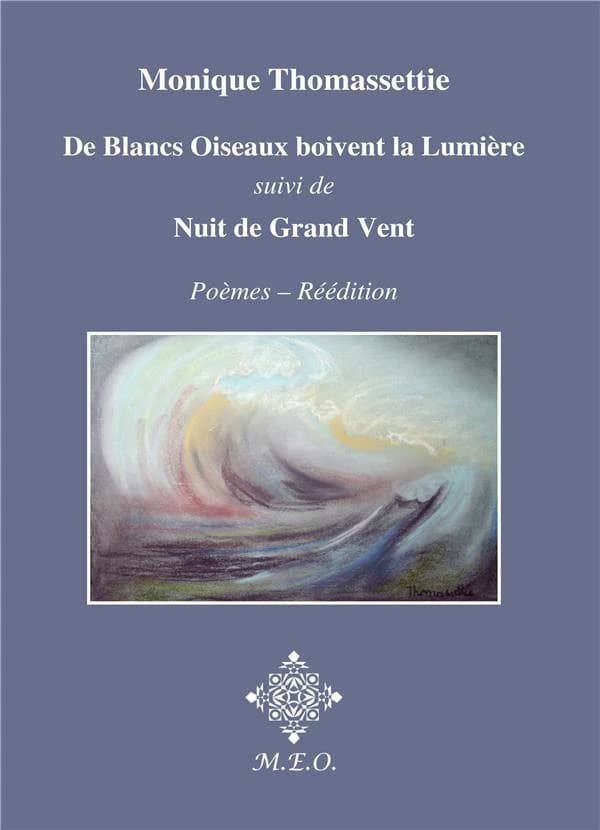 De blancs oiseaux boivent la lumière ; nuit de grand vent