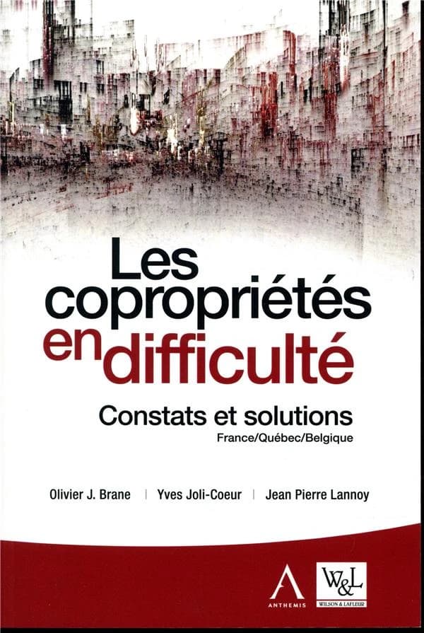Les copropriétés en difficulté ; constats et solutions