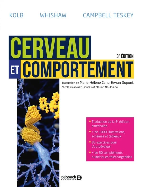 Cerveau et comportement (3e éd.) Bryan Kolb, Ian Q. Whishaw, G. Campbell Teskey ; traduction de Marie-Hélène Canu, Erwan Dupont, Nicolas Narvaez Linares... [et al.]