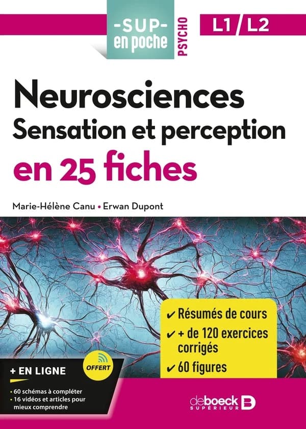 Neurosciences, sensation et perception : en 25 fiches