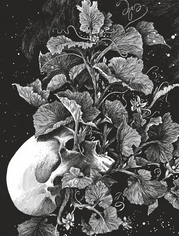 La tête de mort venue de Suède (Éd. limitée en noir et blanc) Daria Schmitt