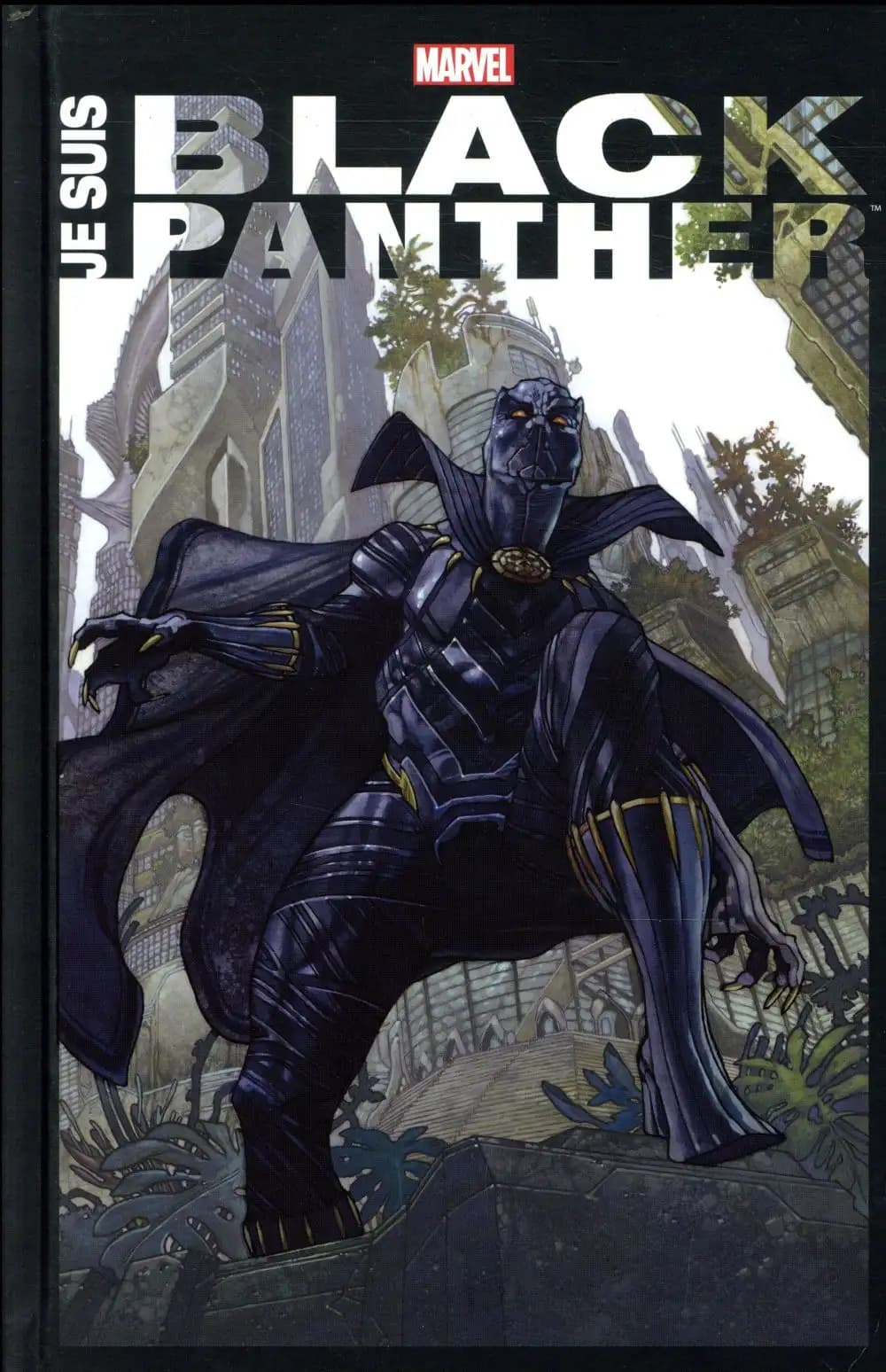 Je suis Black Panther