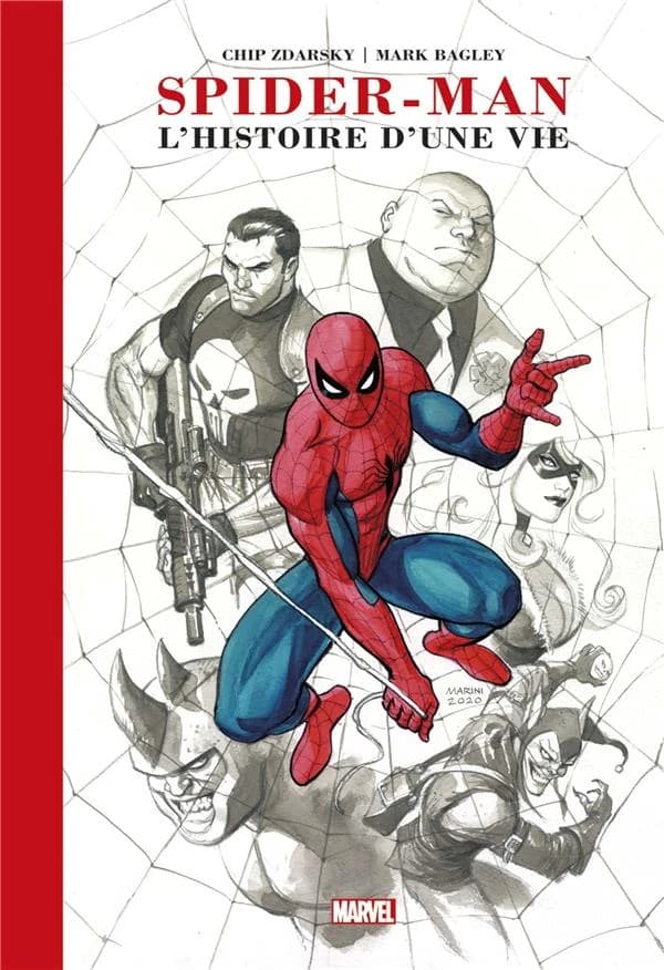 Spider-man : l'histoire d'une vie