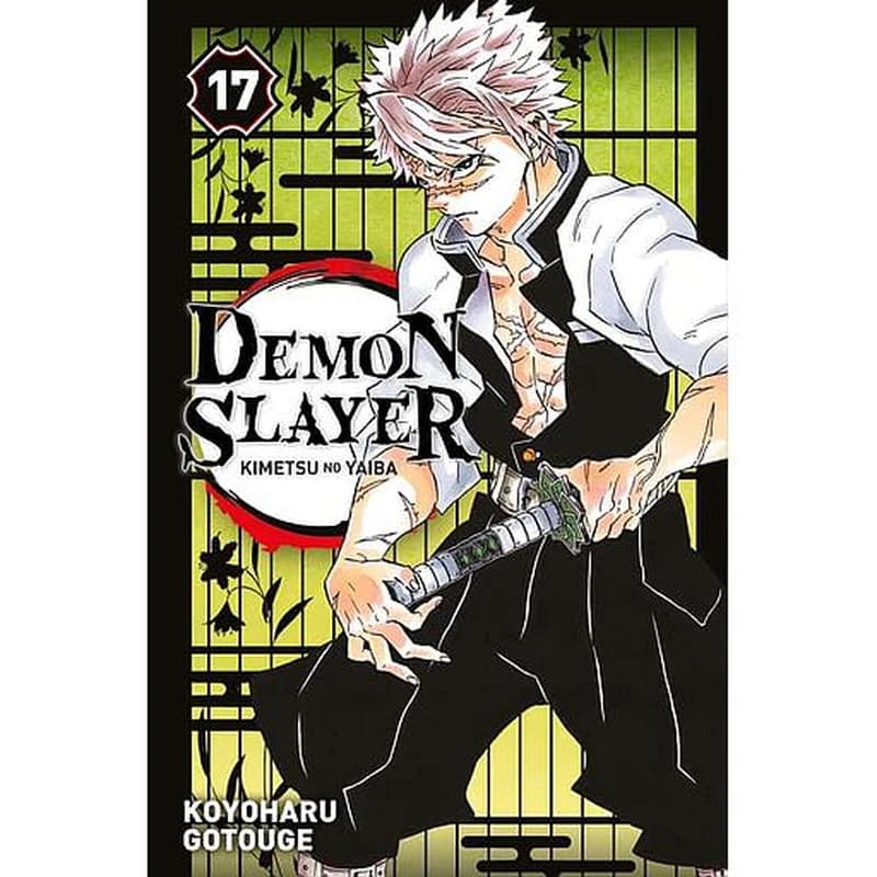 Demon slayer : kimetsu no yaiba. 17