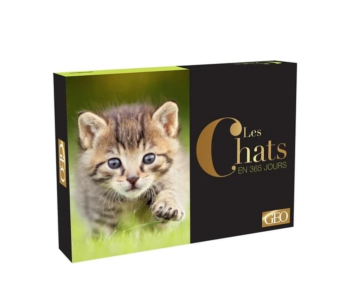 Calendrier Géo ; chats en 365 jours