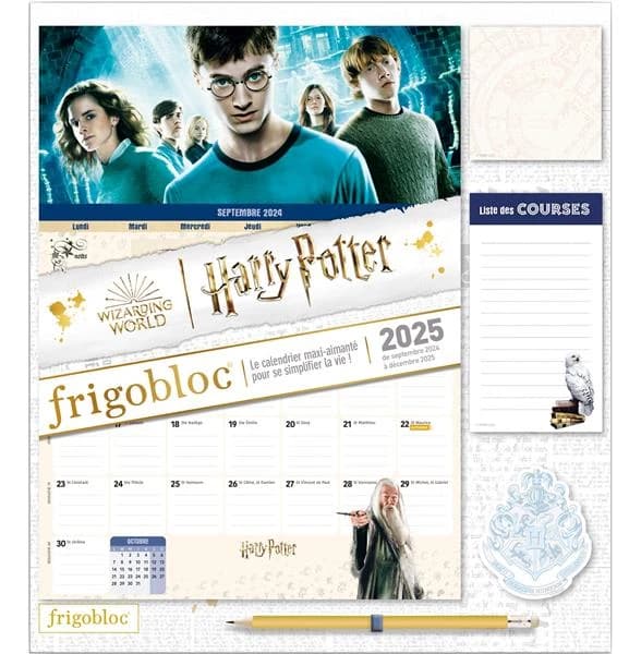 Frigobloc Harry Potter