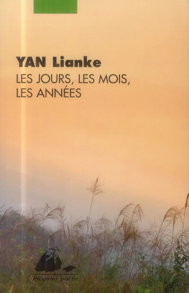 Les jours, les mois, les années : roman