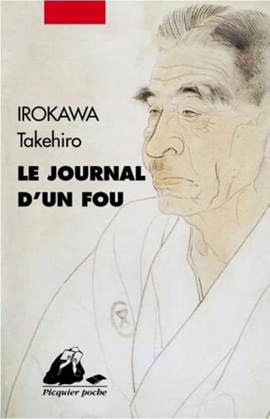 Le journal d'un fou : roman