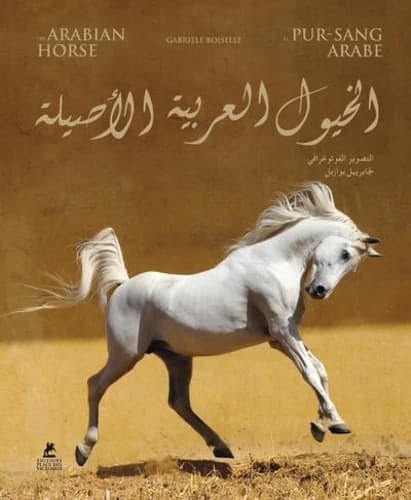 Le pur-sang arabe