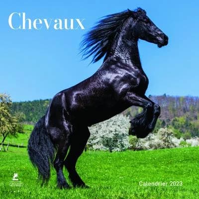 Calendrier chevaux (édition 2023)