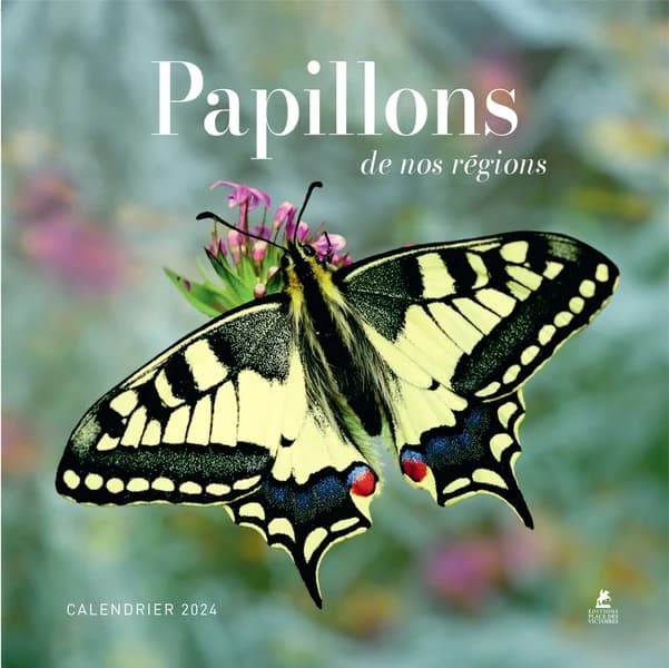 Papillons de nos régions : calendrier (édition 2024)