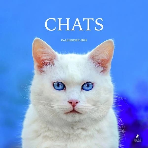 Chats : calendrier (édition 2025)