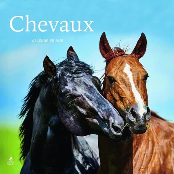 Chevaux : calendrier (édition 2025)