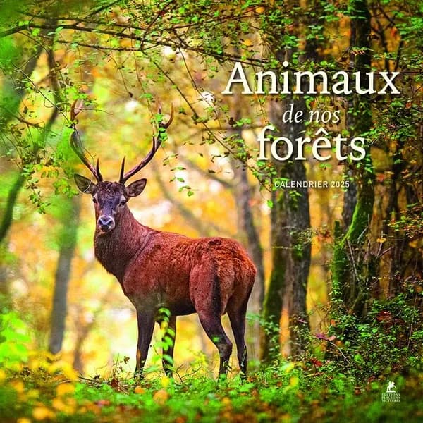 Animaux de nos forêts : calendrier (édition 2025)