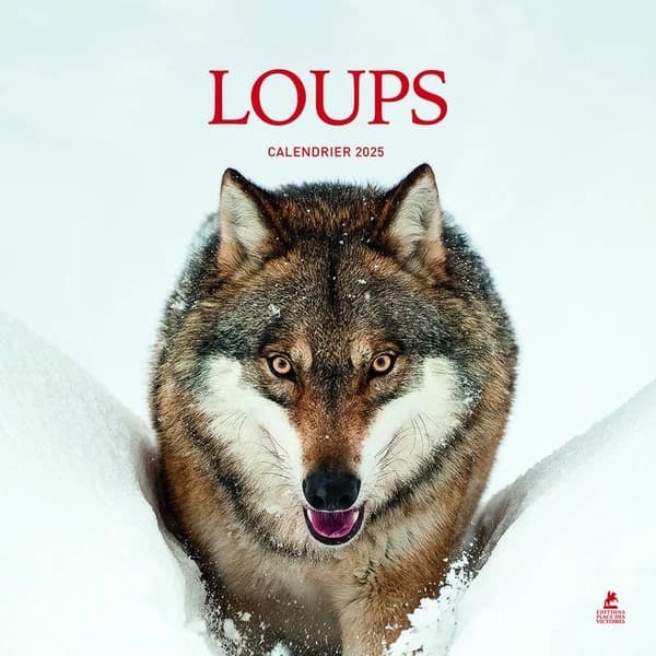 Loups : calendrier (édition 2025)
