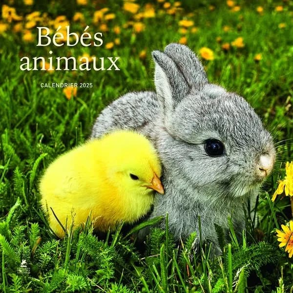 Bébés animaux : calendrier (édition 2025)