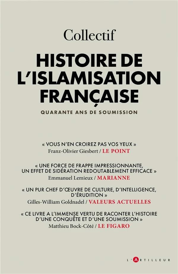 Histoire de l'islamisation française 1979-2019